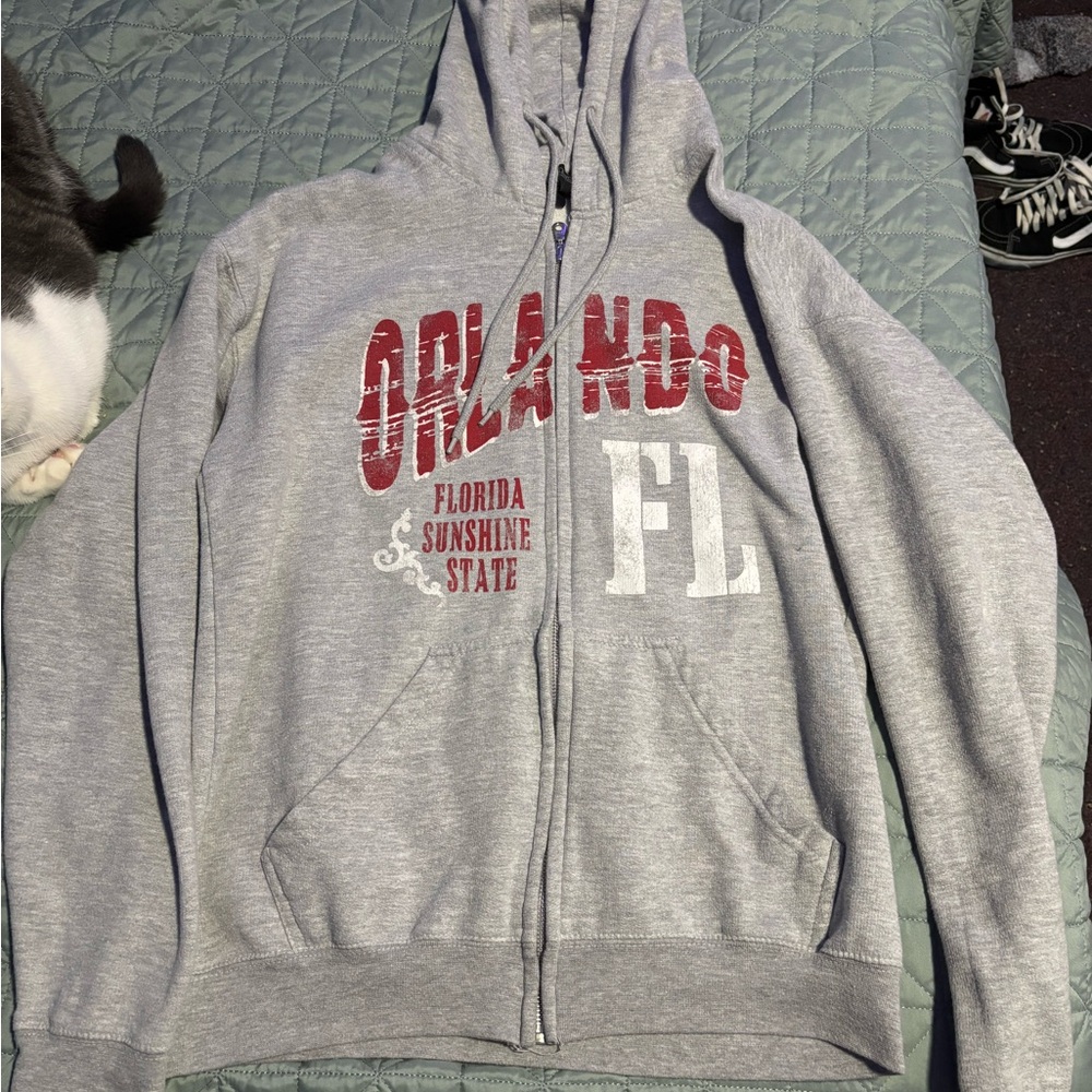 Gray Orlando Florida Hoodie